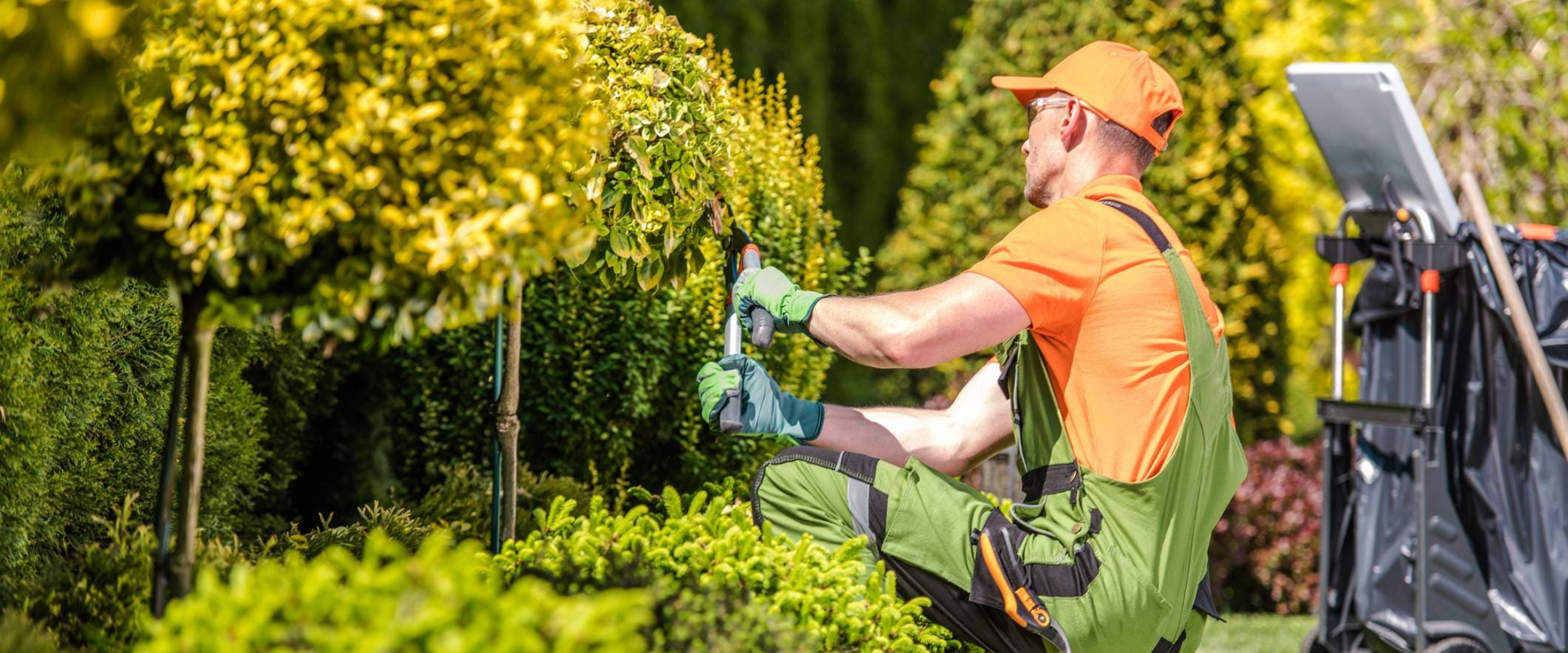 Jardineiro cuidando de um jardim