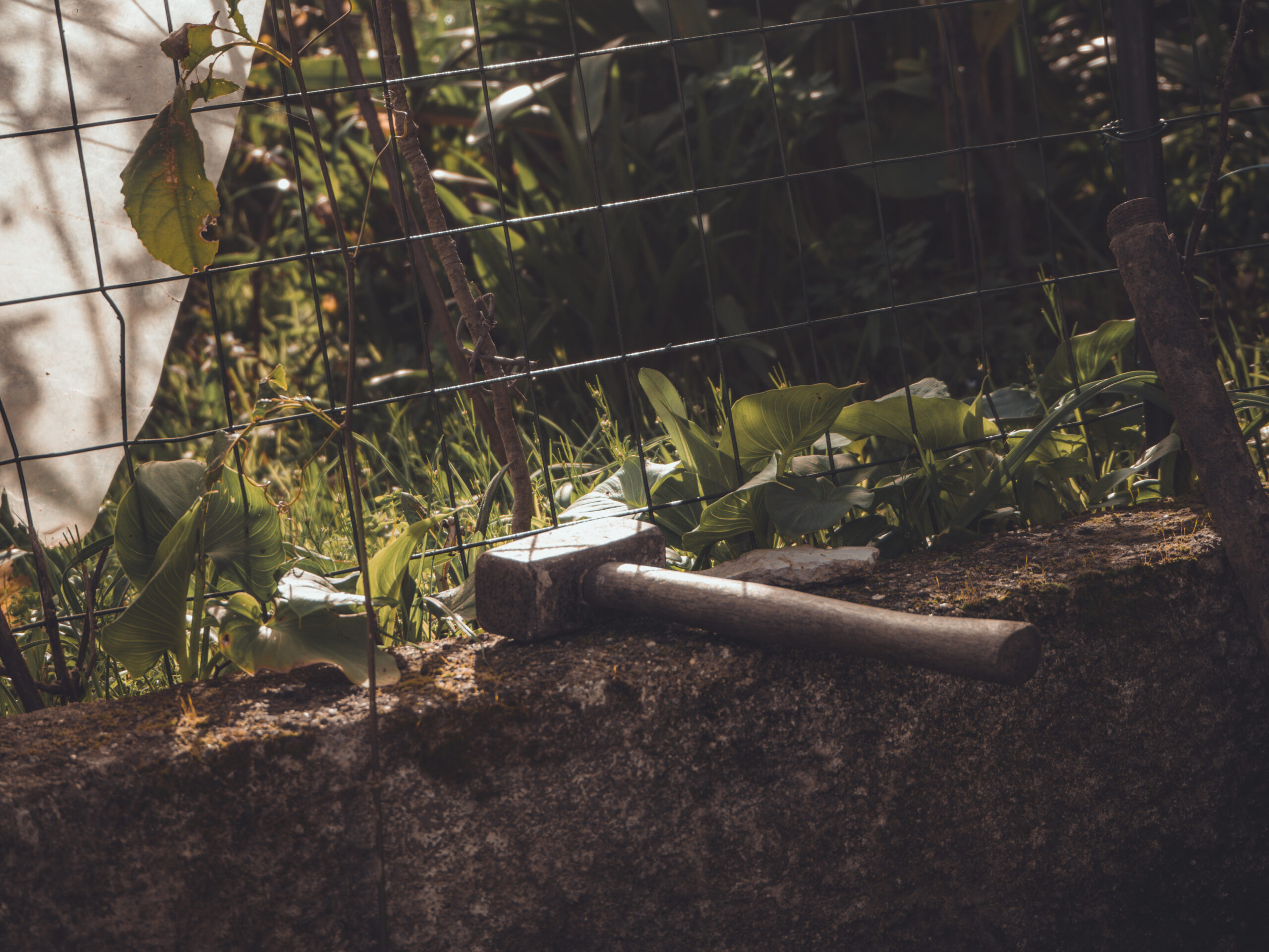 Jardinagem Orgânica: Como Cultivar uma Horta Livre de Pesticidas