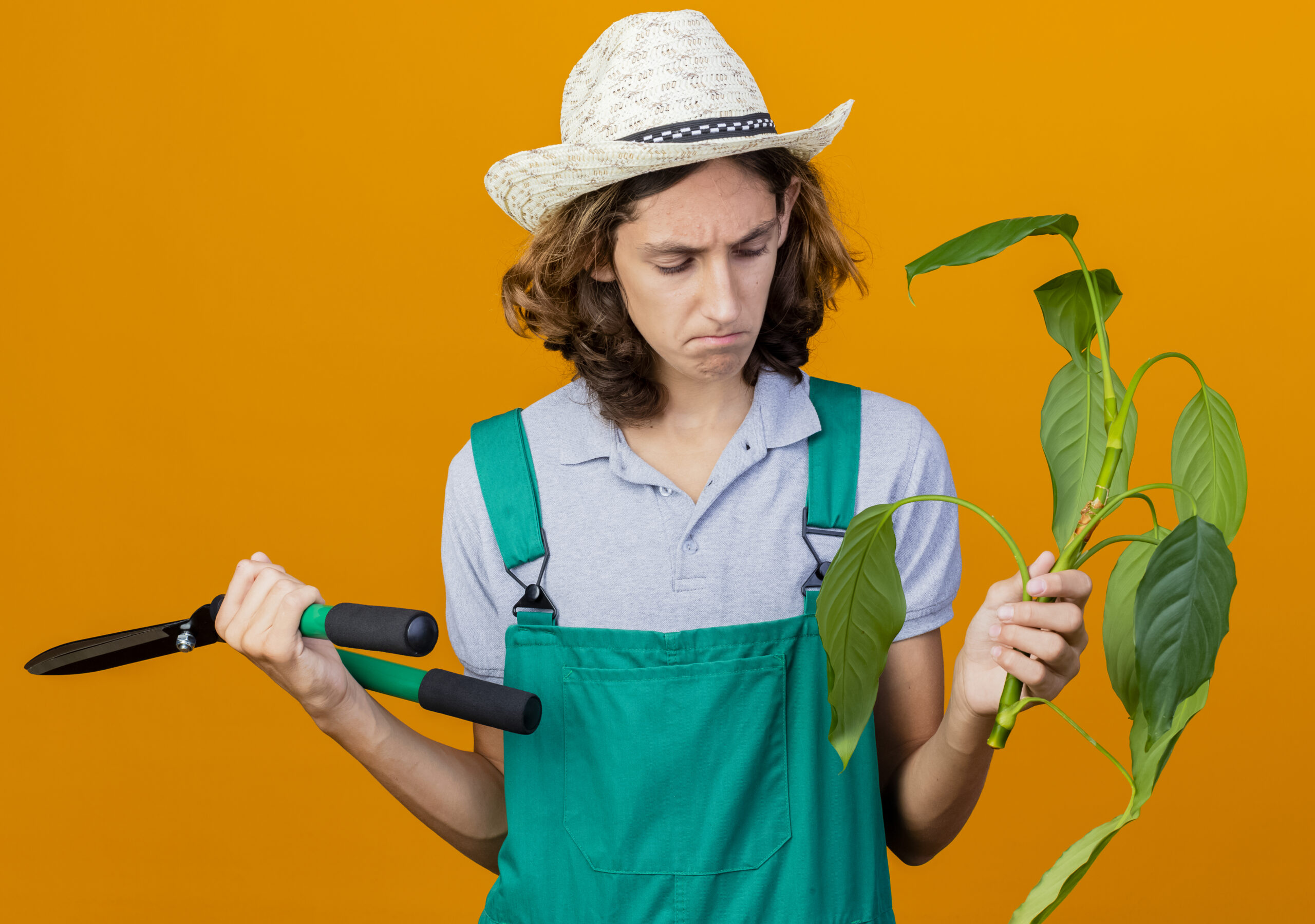 Atrativos para Polinizadores: Como Criar um Jardim Amigável para Abelhas e Borboletas